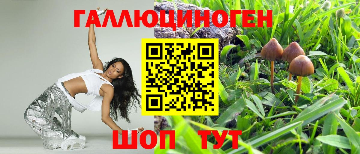 Галлюциногенные грибы Psilocybine cubensis  Вход с VPN  Кимры 